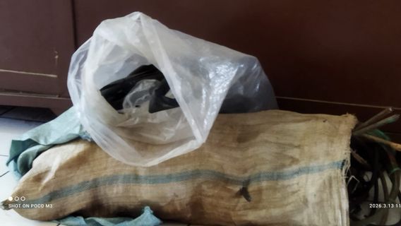 Deux voleurs de câbles de navires dans le port de Muara Baru arrêtés
