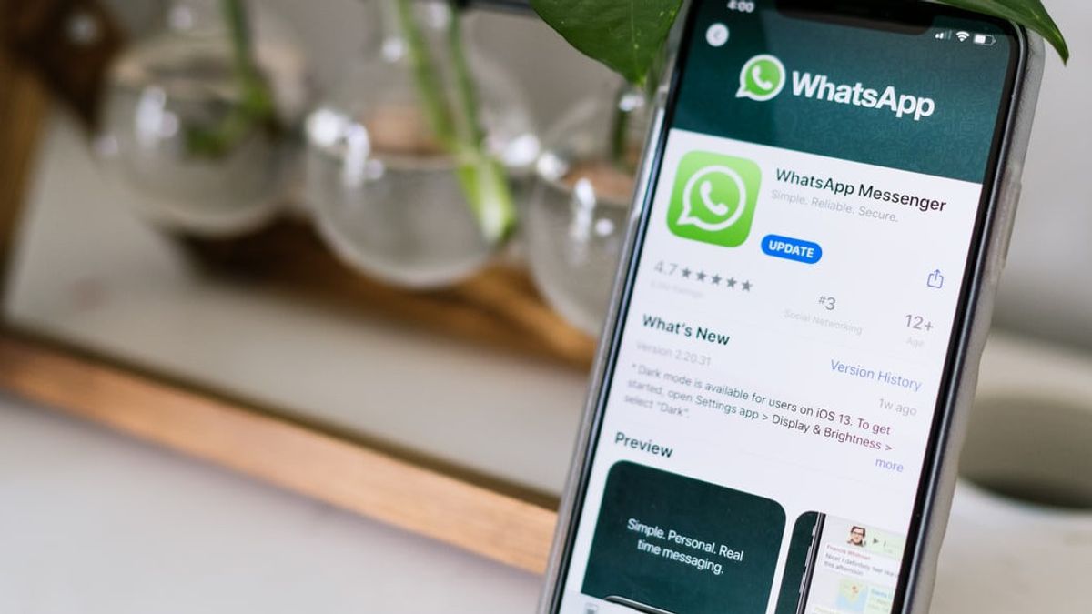 Hati Hati Bug Whatsapp Ini Bisa Bocorkan Nomor Telepon Penggunanya