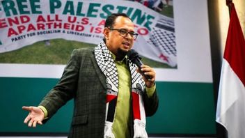 CISFED Dorong Indonesia Lebih Asertif terhadap Krisis Kemanusiaan Gaza dan Tepi Barat