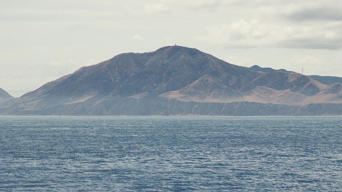 ニュージーランドのフェリーが座礁し、死傷者はいませんでした