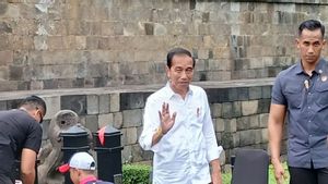 Ditemani Gibran, Jokowi Bersama Cucunya Naiki Candi Borobudur