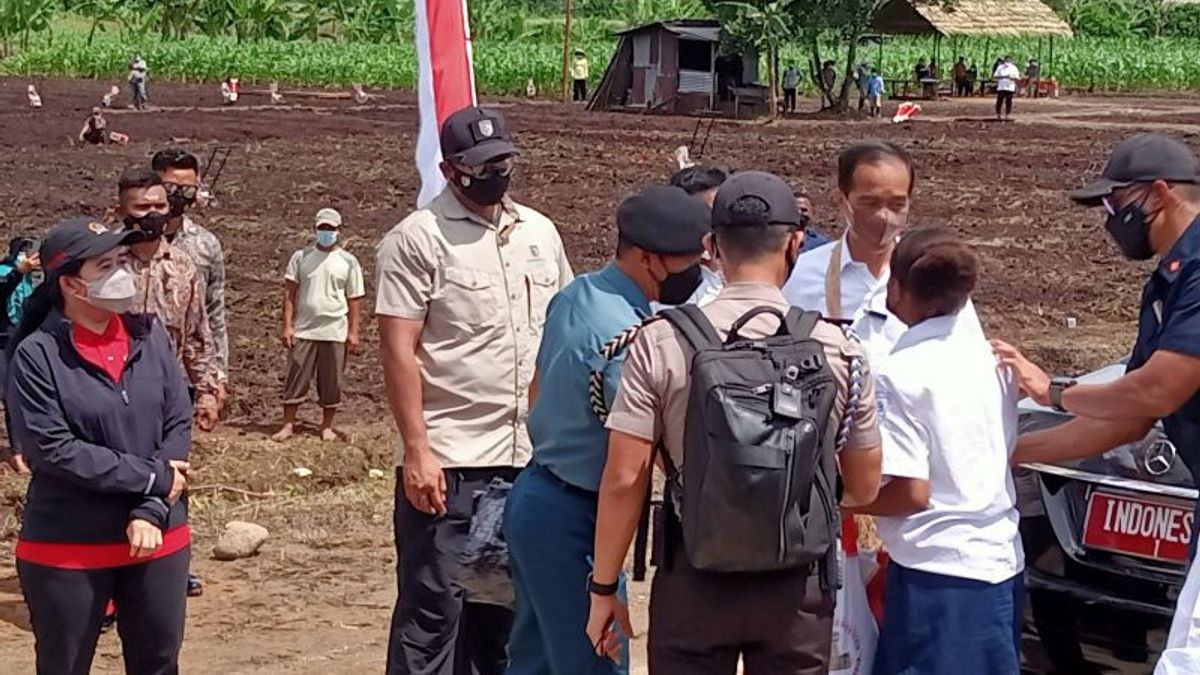 Presiden Jokowi Ingin Anak Papua Maju dan Sejajar, Titip Pesan Sekolah yang Baik