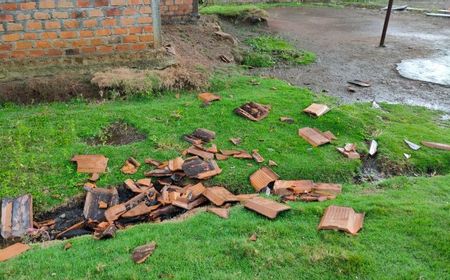 Hujan Es Melanda Oku Selatan Sumsel: 19 Rumah Rusak, Kebun Jagung Nyaris Gagal Panen