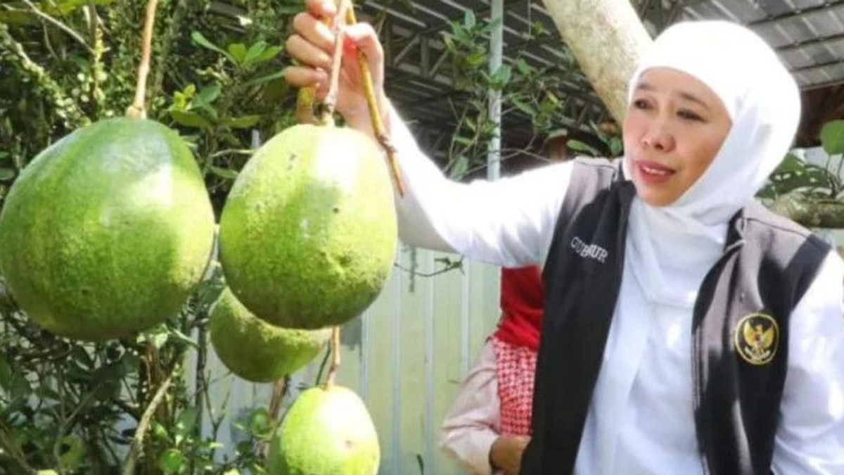 Berhasil Tingkatkan SDM Bidang Pertanian, Khofifah Terima Tanda Kehormatan Satyalancana Wirakarya