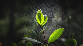 今天的天气预报,大多是多云和小雨