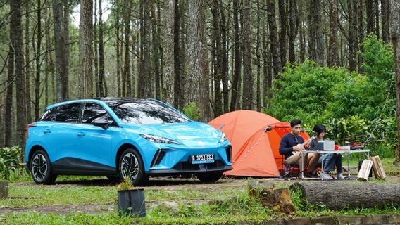 Punya Desain Futuristik dan Teknologi Tinggi, MG4 EV Dapat Penghargaan Small EV Terbaik