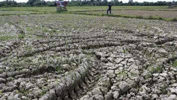 Distanbun Petaskan 5 Daerah Di Aceh Prone To Drought Impact Of El Nino