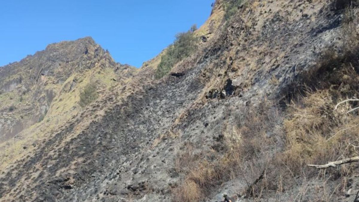 TNGR: Land Fires In Mount Rinjani Area Triggered By Hot Weather