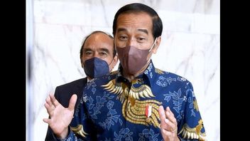 Jokowi's Camp With The Governor At IKN Nusantara Is Expected To Bring Benefits, Not Just An Image