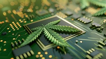 100x المزيد من الوفورات! هذه هي أقراص توفير الطاقة من أحدث جيل في عام 2025