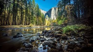 Amerika Serikat Naikkan Tarif Taman Nasional untuk Turis Internasional Mulai Tahun Depan