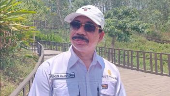 IKN 당국, 기업 기회를 얻기 위해 널빤지를 이용하도록 시민들에게 요청