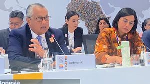 Gubernur BI Pekankan Pentingnya 'Policy Mix' Bank Sentral di G20