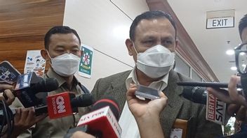 Firli Claims To Be A Serang Balik Corruptor Through Alleged SYL Extortion, Former KPK Investigator: Made Up!