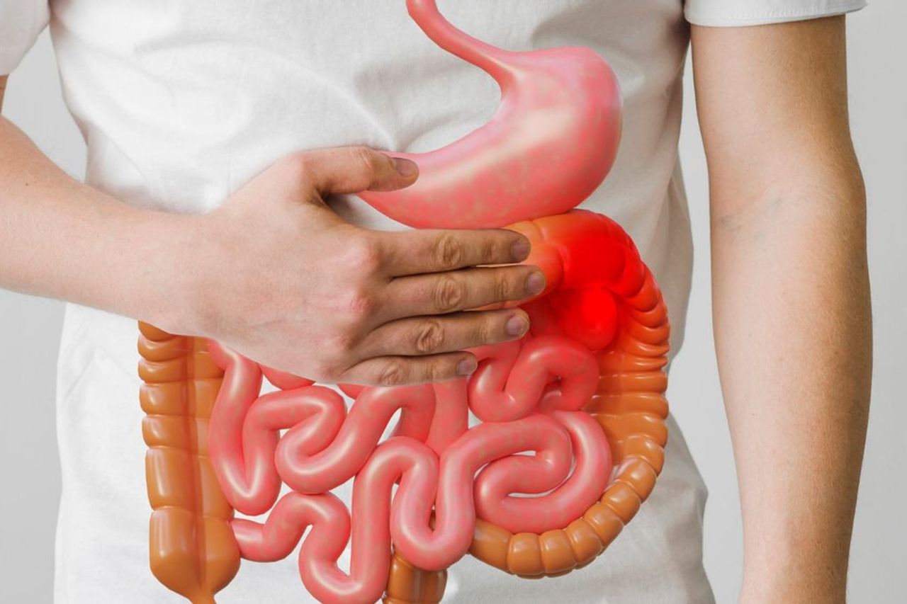 Enzymes On Lambung, These Are Types And Functions