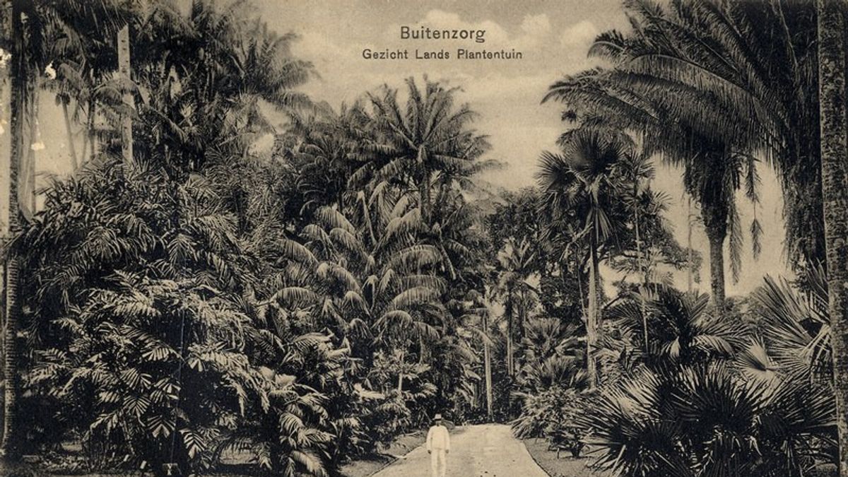 今天的历史，1817 年 5 月 18 日：荷属东印度群岛政府正式建立茂物植物园