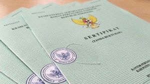 Bakal Tidak Berlaku, Apa Itu Tanah Letter C, Petok D, dan Girik?
