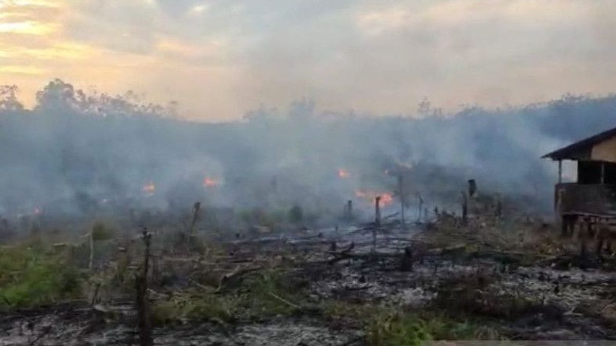 Polisi Tangkap Warga Pembakar Lahan di Muara Enim Sumsel