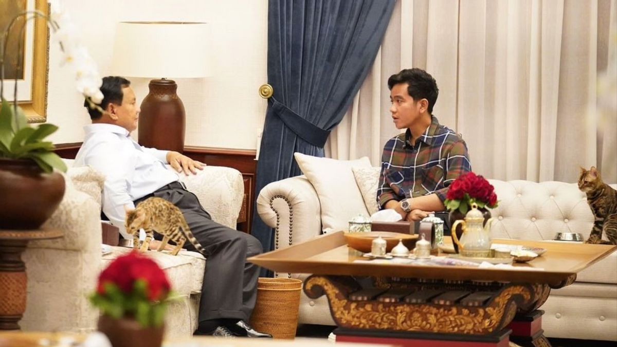 Elite Gerindra Beberkan Prabowo-Gibran Bahas Program Makan Siang Gratis Saat Bertemu di Kertanegara