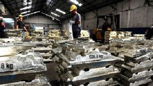 Pengusaha Bauksit Usulkan Bentuk Konsorsium untuk Atasi Pembangunan Smelter yang Mandek