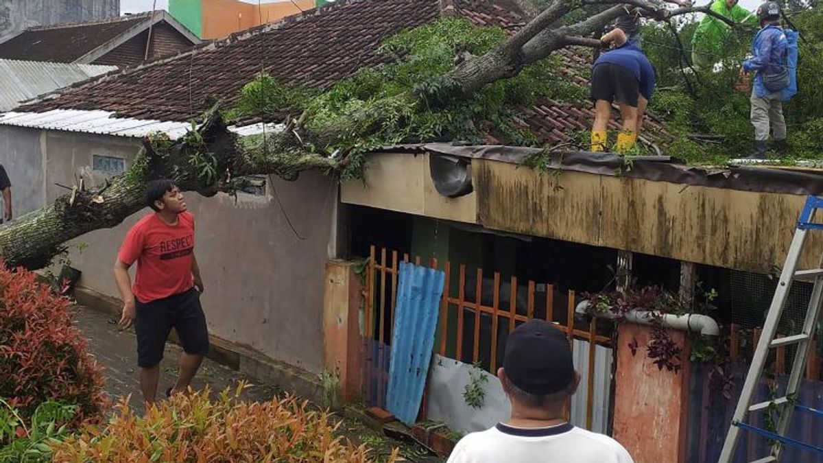 Hujan Deras Disertai Angin Kencang Landa Malang Sejumlah Rumah Dilaporkan Rusak
