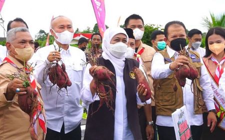 Gubernur Jatim Khofifah Ajak Milenial Jadi Petani Modern