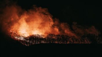 حرائق الغابات اليونانية تحطمت وأصيب عشرات رجال الإطفاء