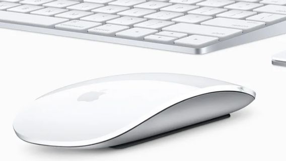 一些Apple配件明年可能会切换到USB-C