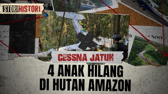 Cessna : 4 enfants disparus dans la forêt amazonienne