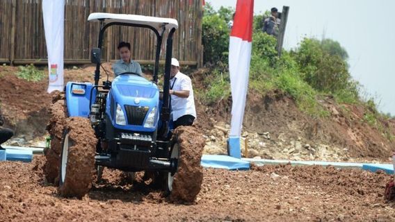 Wapres Dorong Pabrik Pakan di Banten Serap Hasil Panen Petani Jagung Lokal