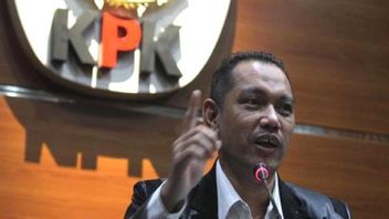 Ghufron Sebut Nawawi Pas Jadi KPK代理主席Ganti Firli, Why?