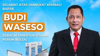 Menteri BUMN Kembali Tunjuk Budi Waseso Jadi Dirut Bulog