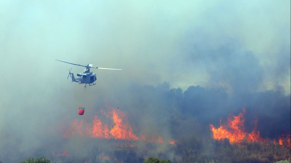 Krisis Iklim Sebabkan Kebakaran Hutan saat Musim Panas, Uni Eropa Ingin Bangun Armada Pemadam Kebakaran