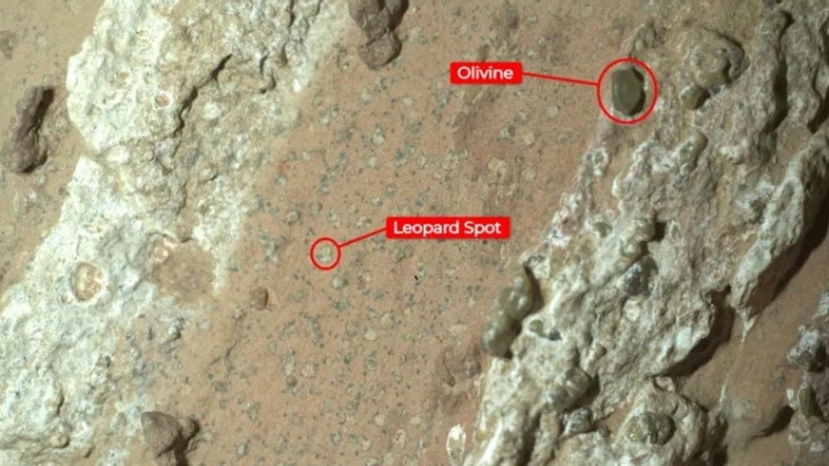 Perseverance Robot Finds Stones With Signs Of Life On Mars