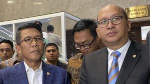 Rosan Sebut Danantara Bakal Kerja Sama dengan SWF Arab Saudi