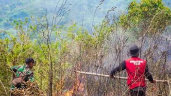 Land Fire In Sajang Rinjani Climbing Line Successfully Extinguished