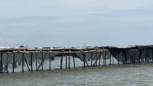 フェンス30.16 Km タンゲランの海の空間を制御するためのオンブズマンと呼ばれる