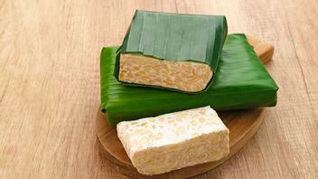 Microorganism Used To Help Create Tempe, Here's The Type