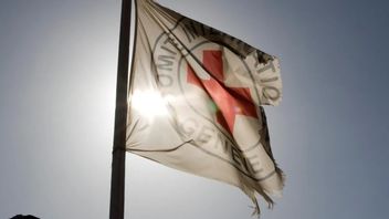 Kepala Palang Merah Serukan Perbaikan Kondisi Kemanusiaan yang Mengerikan di Jalur Gaza