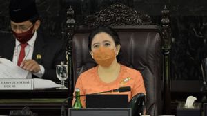 Respons Masinton yang Dilaporkan ke MKD Karena Luhut, Puan Maharani: Polemik Kita Sudahi Saja