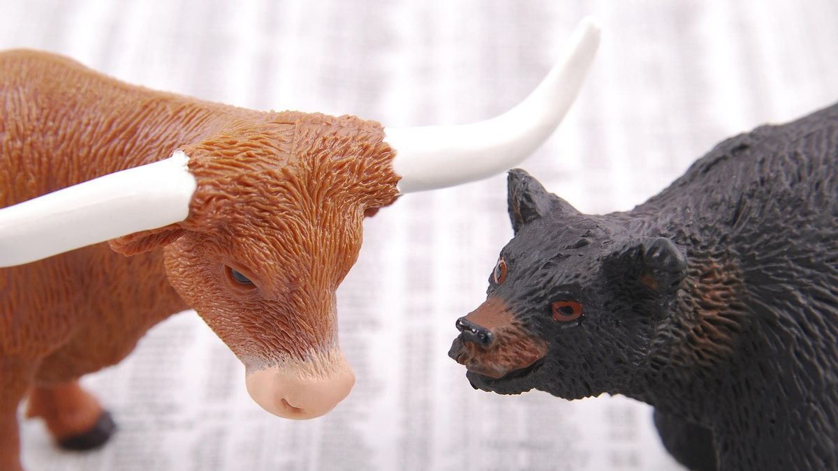 What is a Bull Market? Its Definition and Characteristics