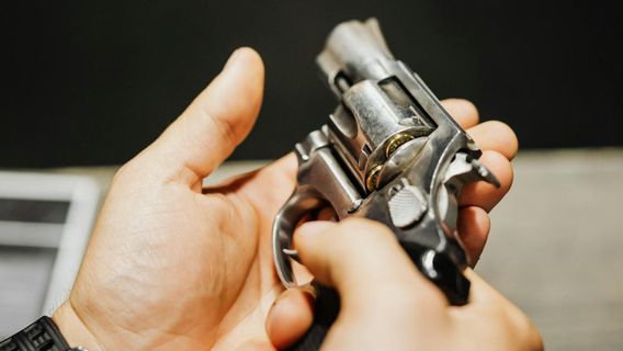 South African Politician Sentenced to 5 Years in Prison for Firing Pistol at Party Meeting