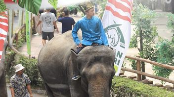 قائمة العروض الترويجية لأماكن الجذب السياحي في جابوديتابك الاحتفال بالذكرى السنوية ال 80 ل RI