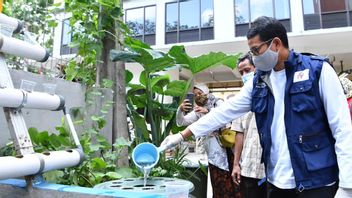 Sandiaga Uno: Urban Farming Independent Food Needs