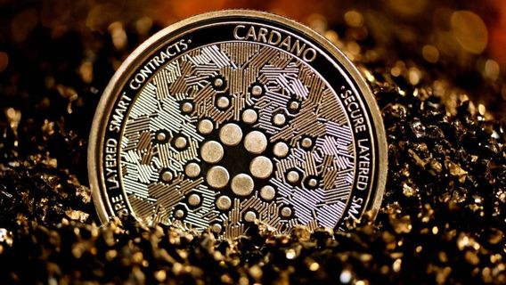 Cardano Becomes The Most Beneficial Crypto In The Last 24 Hours