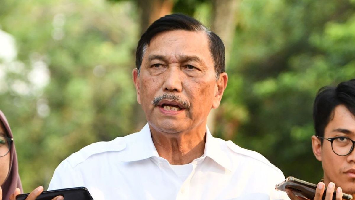 Luhut 'Perintahkan' ke Bos Shopee: Saya Minta Mereka Jual Produk UMKM Lokal Indonesia