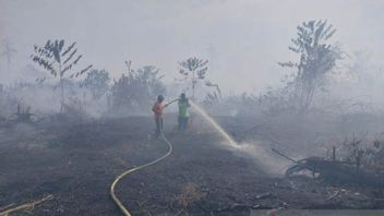 BPBD:ナガンラヤアチェの森林火災と土地火災の停止は、水源によって制約されています