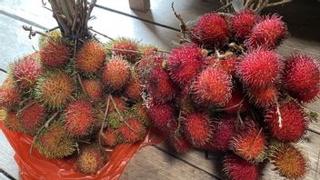 Types Of Rambutan In Indonesia That Are Popular And Widely Wanted