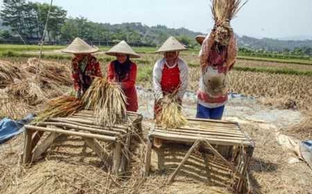 Produksi Pangan Dalam Negeri Perlu Diperkuat untuk Antisipasi Dampak Konflik Timur Tengah