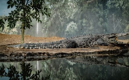 Fosil Nenek Moyang Buaya Moderen Ditemukan di Chili, Perkuat Teori Amerika Latin Tempat Lahir Evolusi Buaya